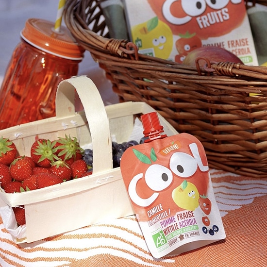 GAIAネット[※]ミトク ヴィタビオ クールフルーツ（スムージー