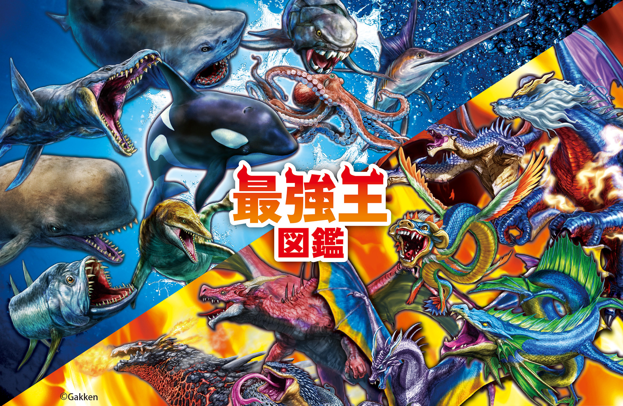 シリーズ累計300万部突破！絶大な人気を誇る『最強王図鑑』の