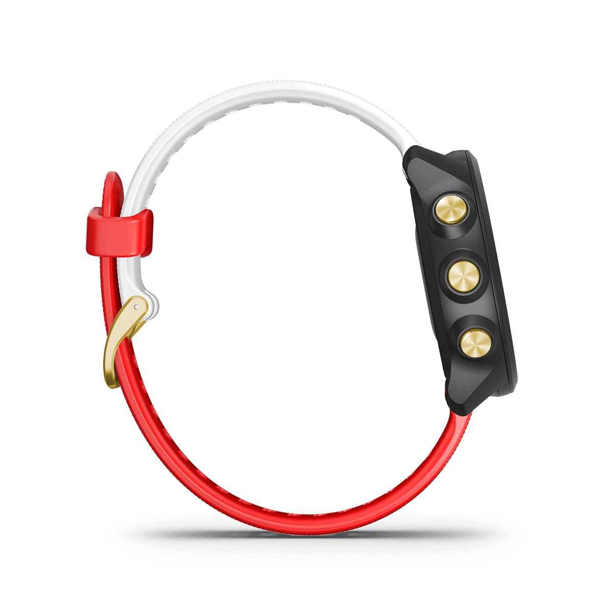 Forerunner 245 Music | Smartwatches | Garmin Singapore