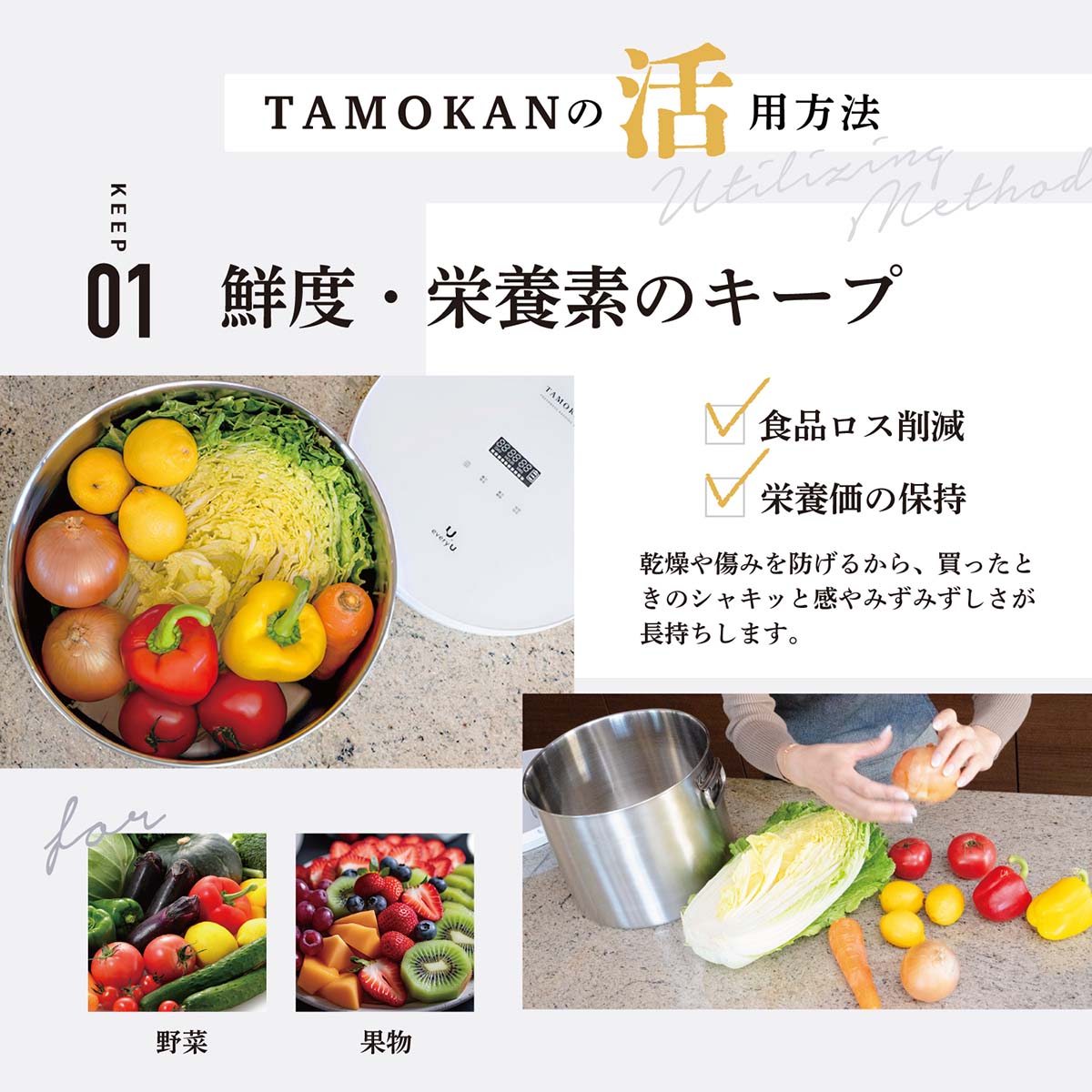 真空保存容器 TAMOKAN 10L ホワイト – GREEN CROSS-select 工事現場