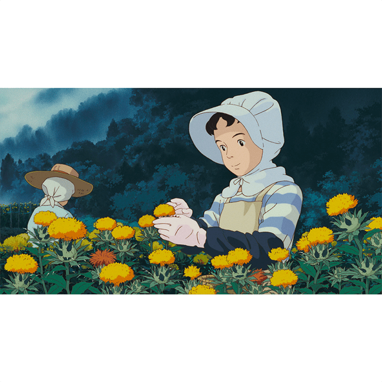 Blu-ray おもひでぽろぽろ｜三鷹の森ジブリ美術館オンラインショップ