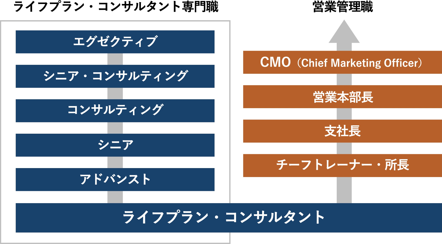 キャリアプラン | ライフプラン・コンサルタント スペシャル採用サイト