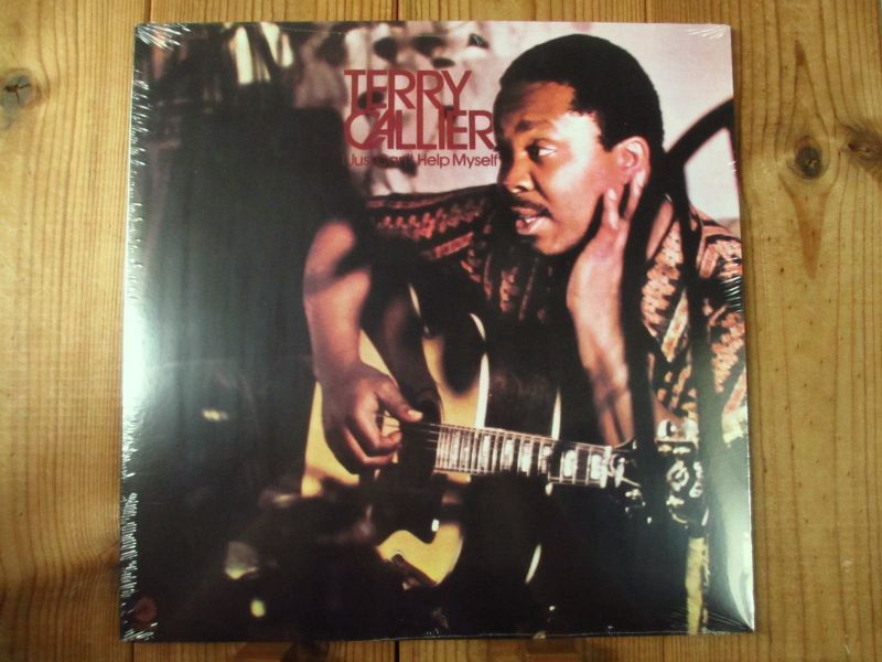 テリーキャリアーのジャジー&メロウフォーキー名盤！□Terry Callier