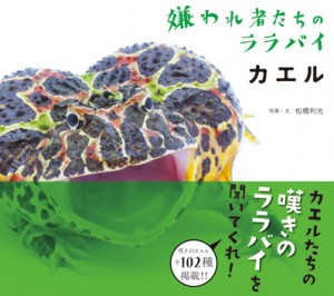 グラフィック社