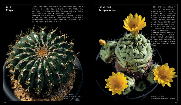 グラフィック社