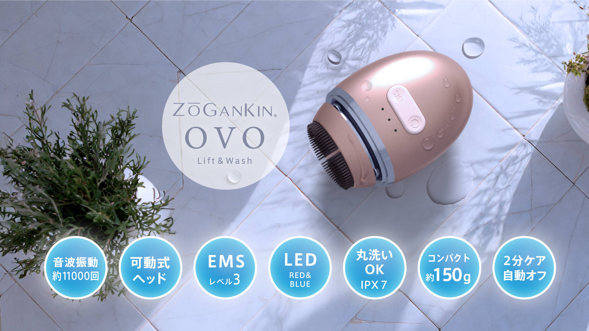 ZOGANKIN OVO（ゾーガンキンオーヴォ）｜エステサロン・美容院向け卸