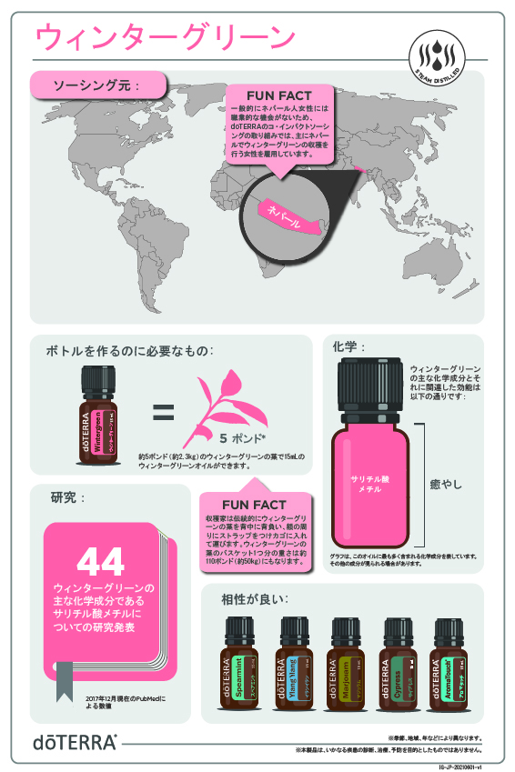 ウィンターグリーン - doTERRA TIMES
