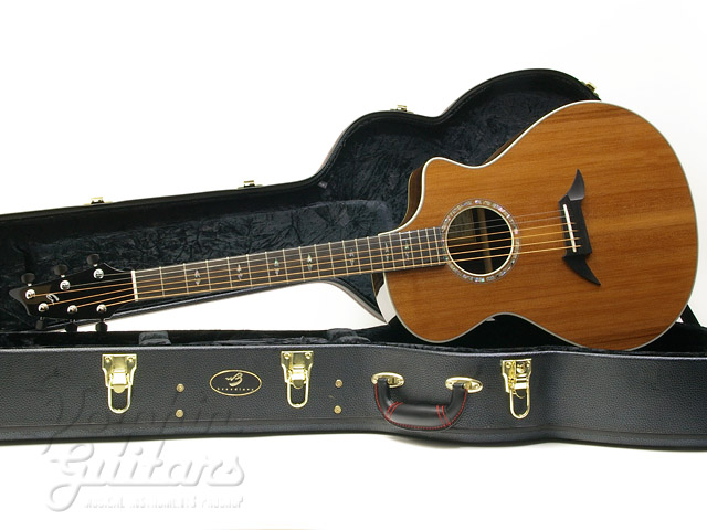 Breedlove Focus SE|ドルフィンギターズ