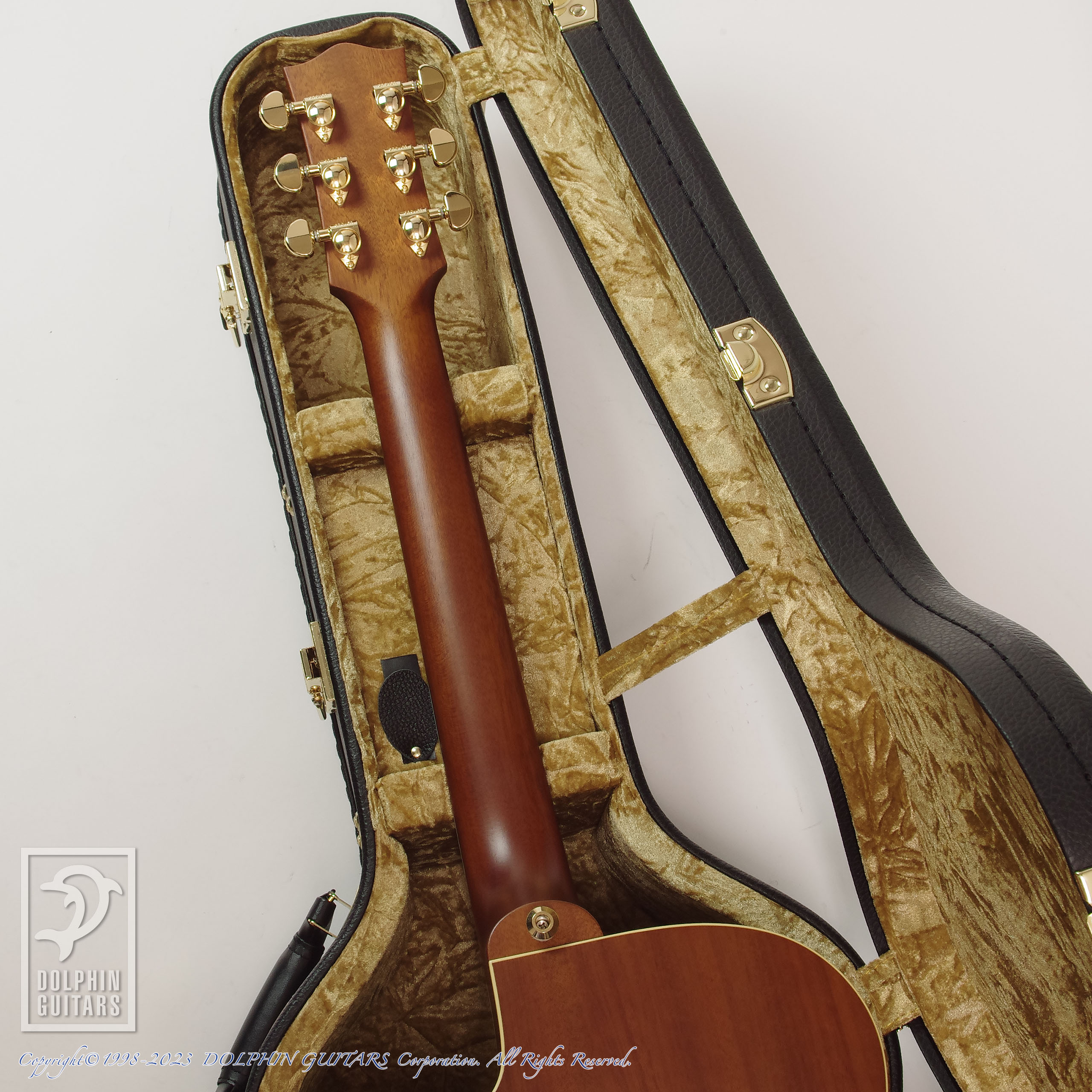 MATON Performer LTD (Orange Mouse) |ドルフィンギターズ