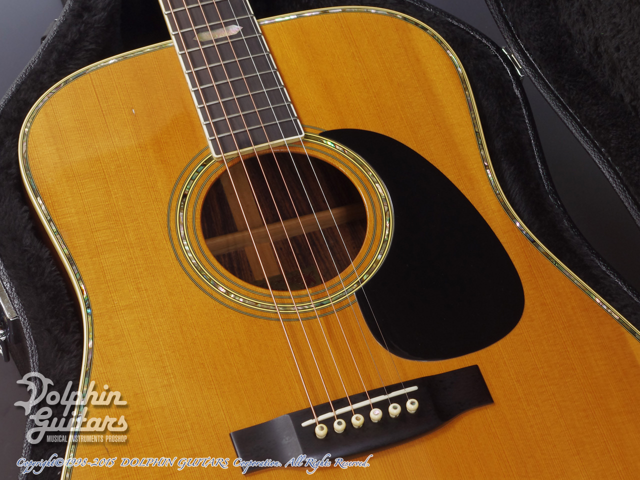 HEADWAY HD-210|ドルフィンギターズ