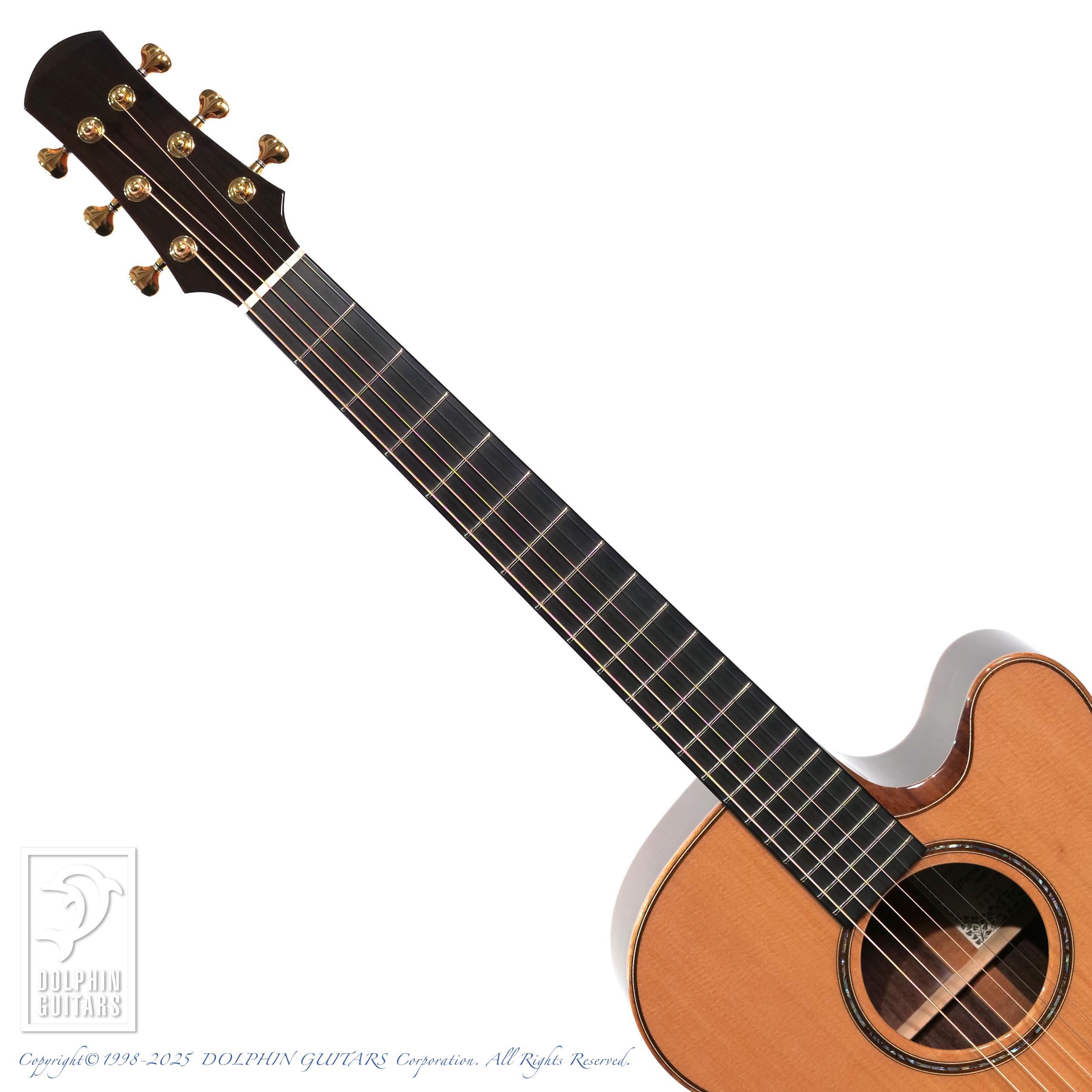 ASTURIAS Grand Solo Premio CR|ドルフィンギターズ