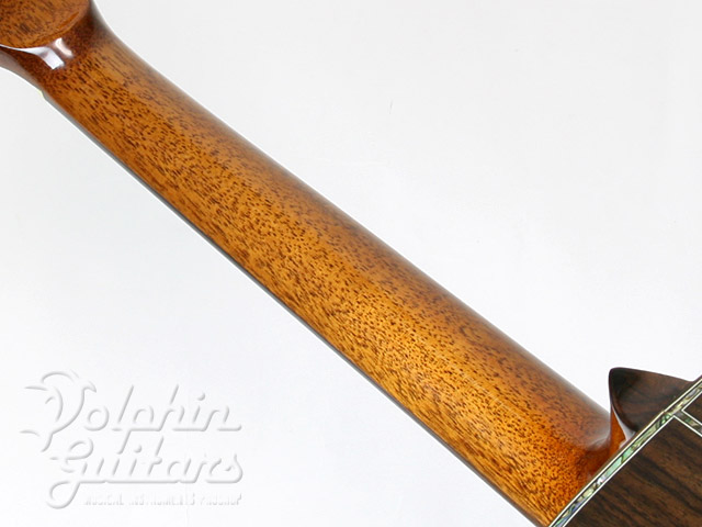 BUGSGEAR OR-50 TWTL Proto|ドルフィンギターズ