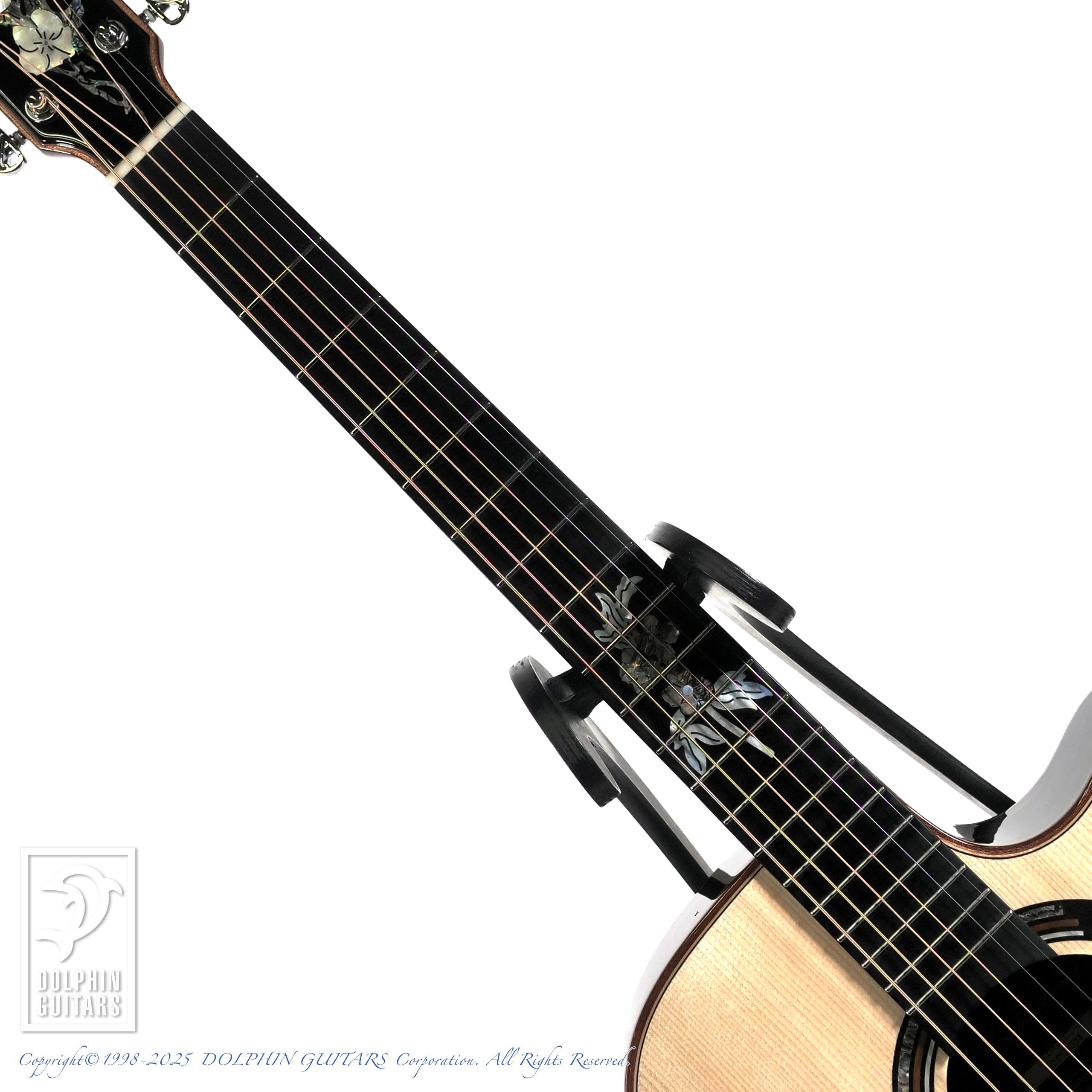 Merida A18GAC2|ドルフィンギターズ