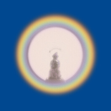 Flipper - Generic (CD) | Domino Mart - Domino