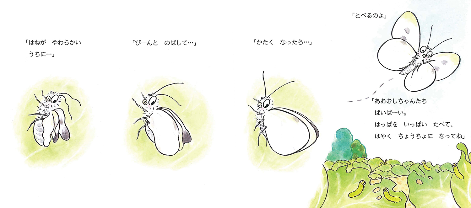 ちょうちょのしろちゃん (かわいいむしのえほん) ：高家博成／仲川道子
