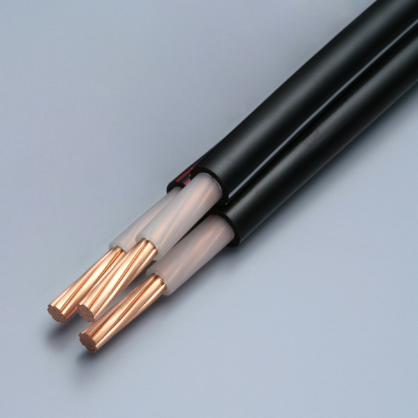 600VCVT200SQx3C 600V架橋ポリエチレン絶縁ビニルシースケーブルの通販