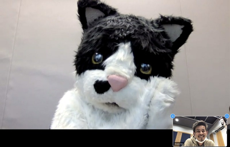 第二の“ニャン生”を満喫中♪ むぎ(猫）さん ／Date fm エフエム仙台