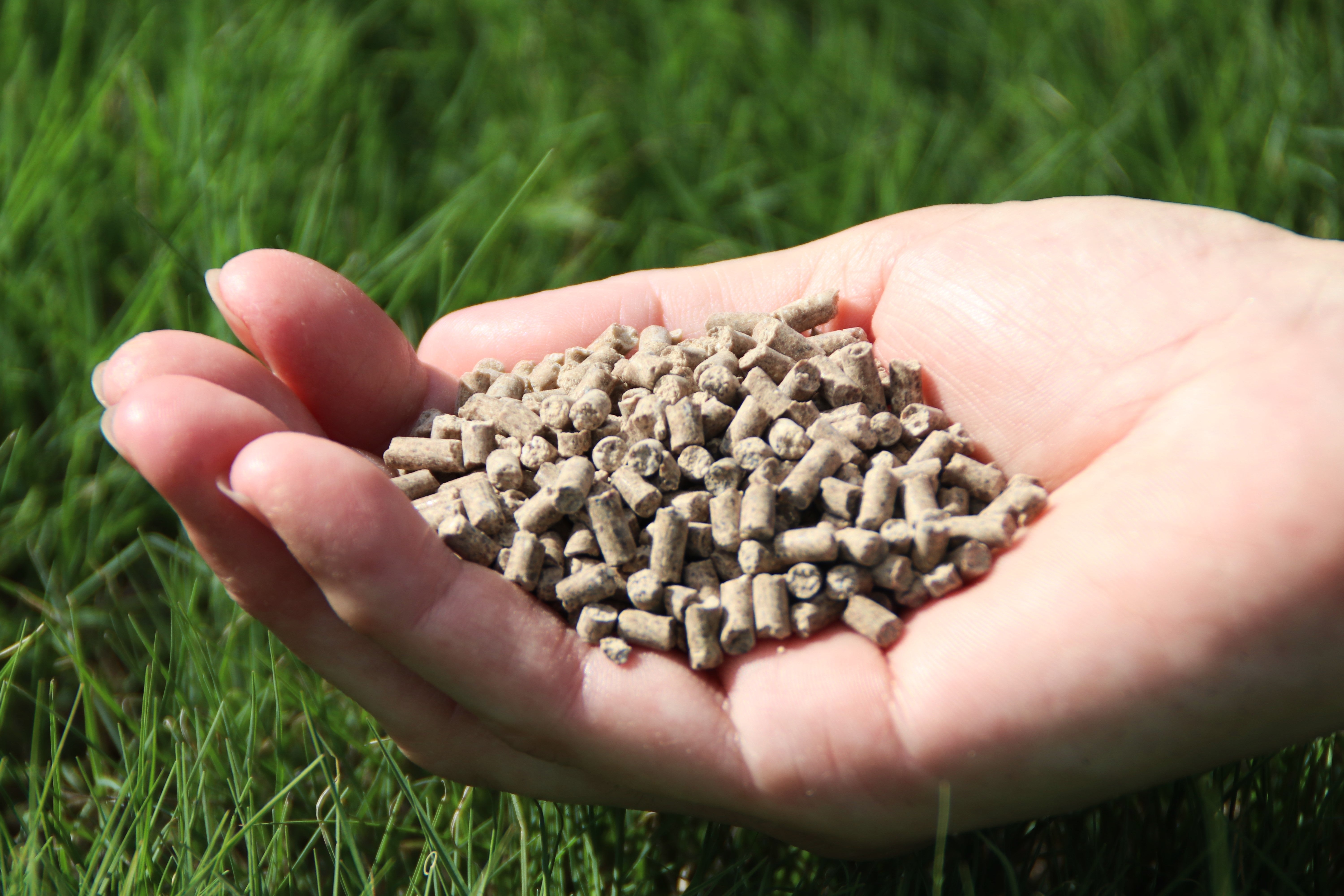 デビッド・オースチンの 「ローズフード550g入り」 - David Austin