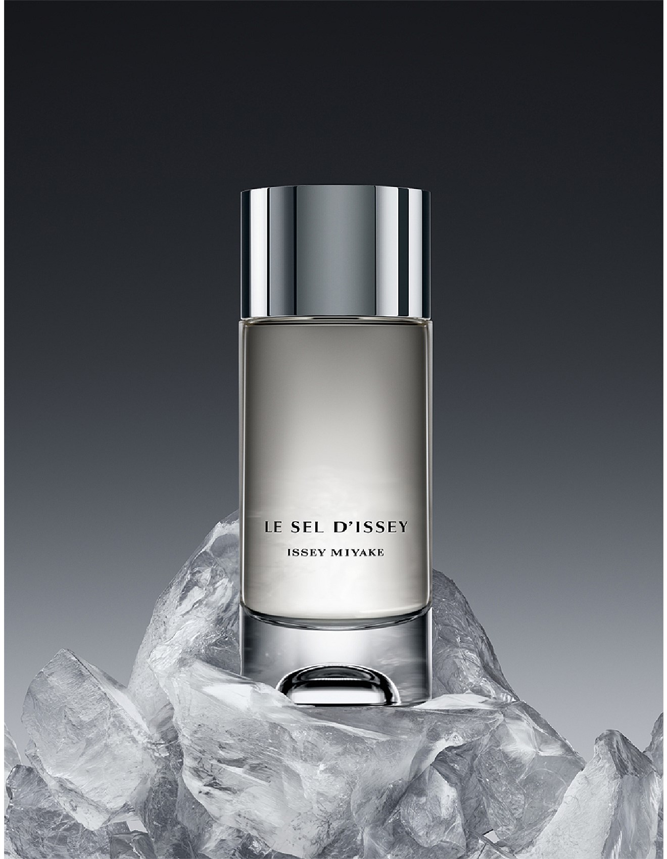 Issey Miyake Le Sel D'issey Edt 100ml | David Jones