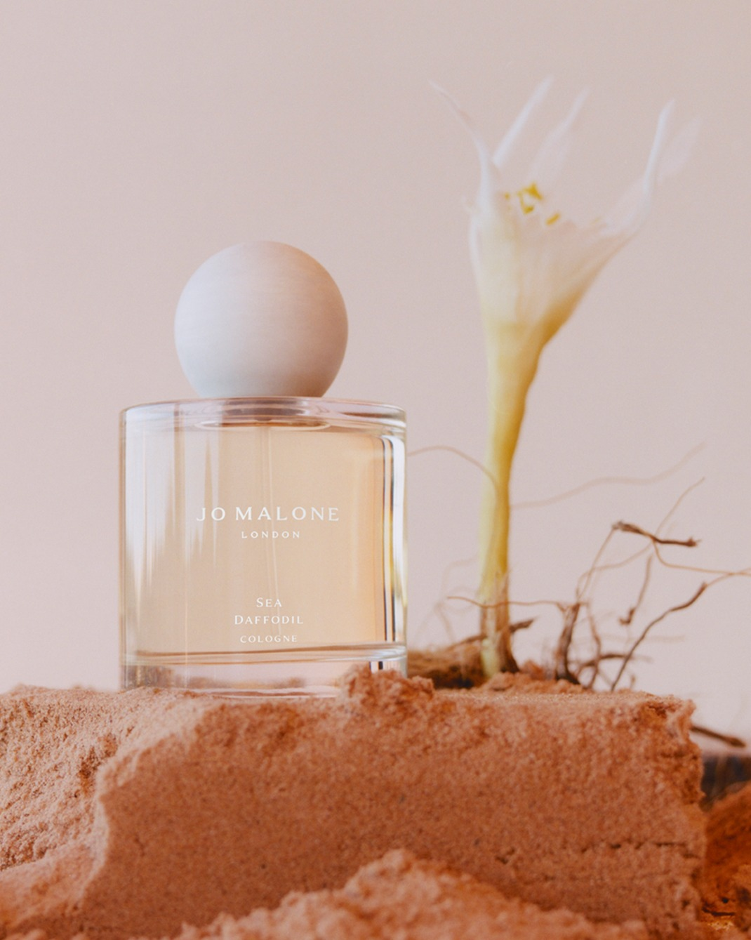 Jo Malone ナツメグ & ジンジャー コロン JO MALONE NUTMEG &