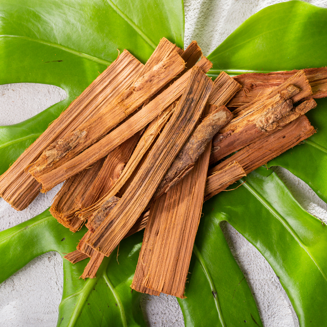 CENTENRY SAKUYA Kronos Mask