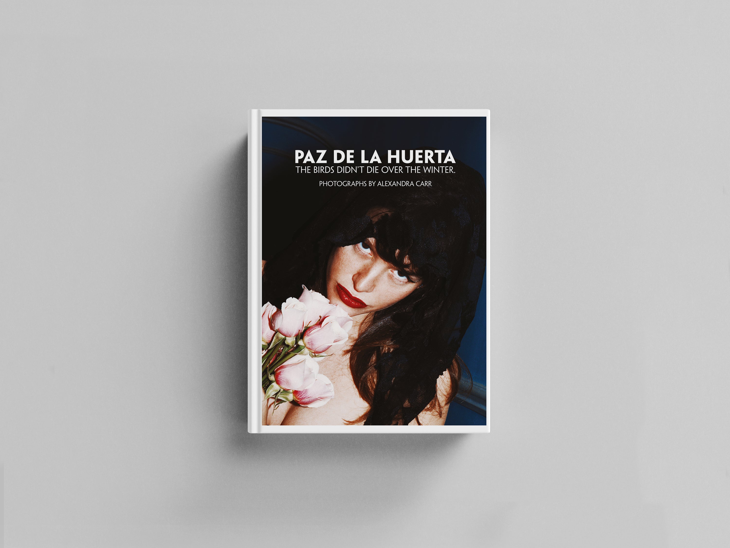 Paz de la Huerta. The Birds didn't die over the winter – Damiani Books