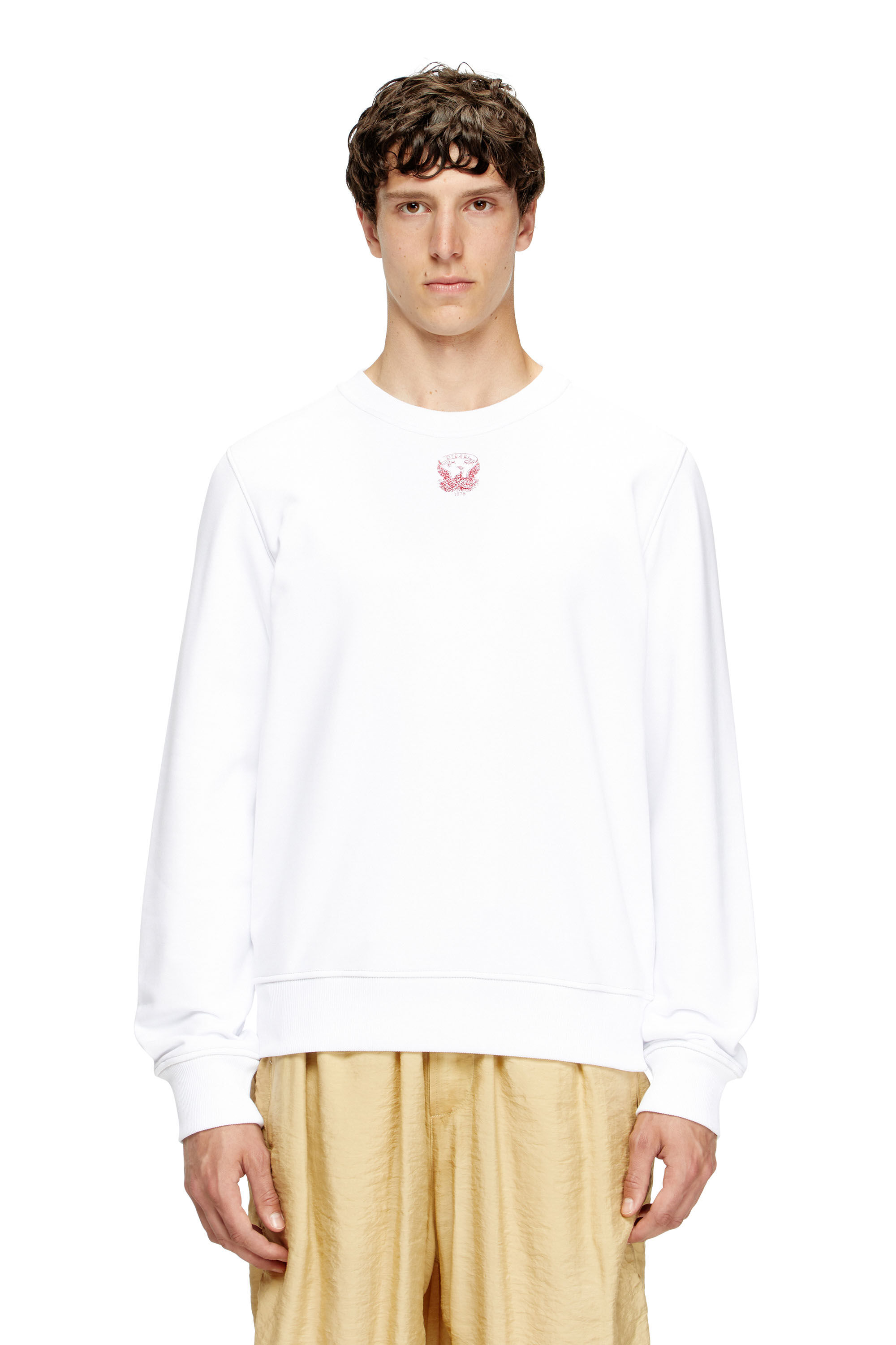 S-GINN-T1 プルオーバースウェット｜ホワイト｜メンズ｜DIESEL