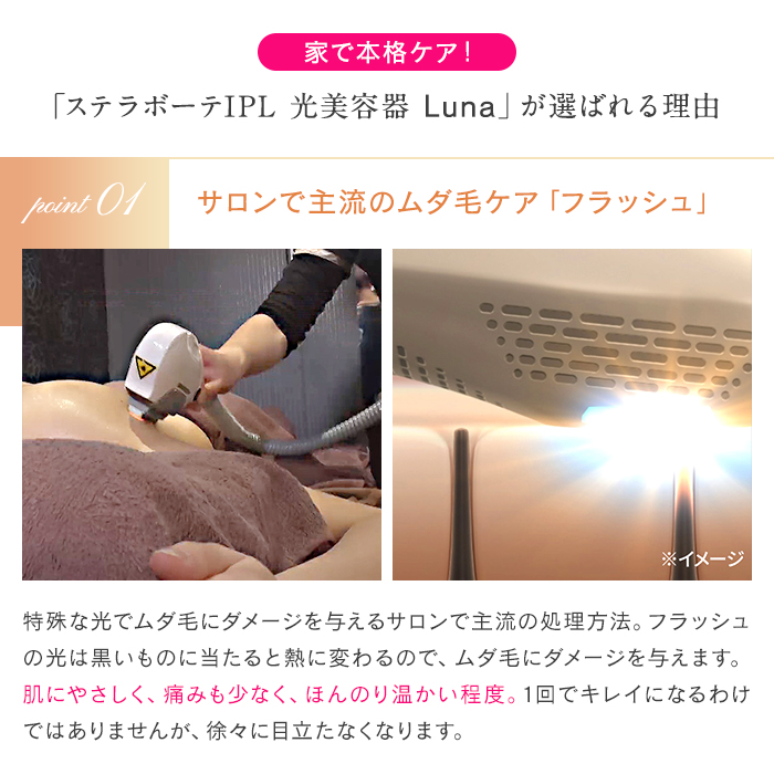 ステラボーテ IPL光美容器 Luna ディノスANAmall店