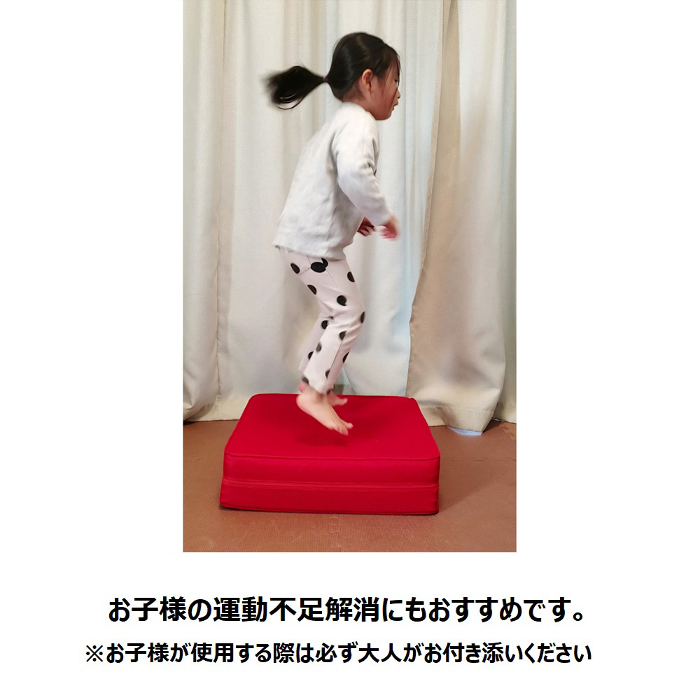 パーフェクトエクサ ディノスANAmall店