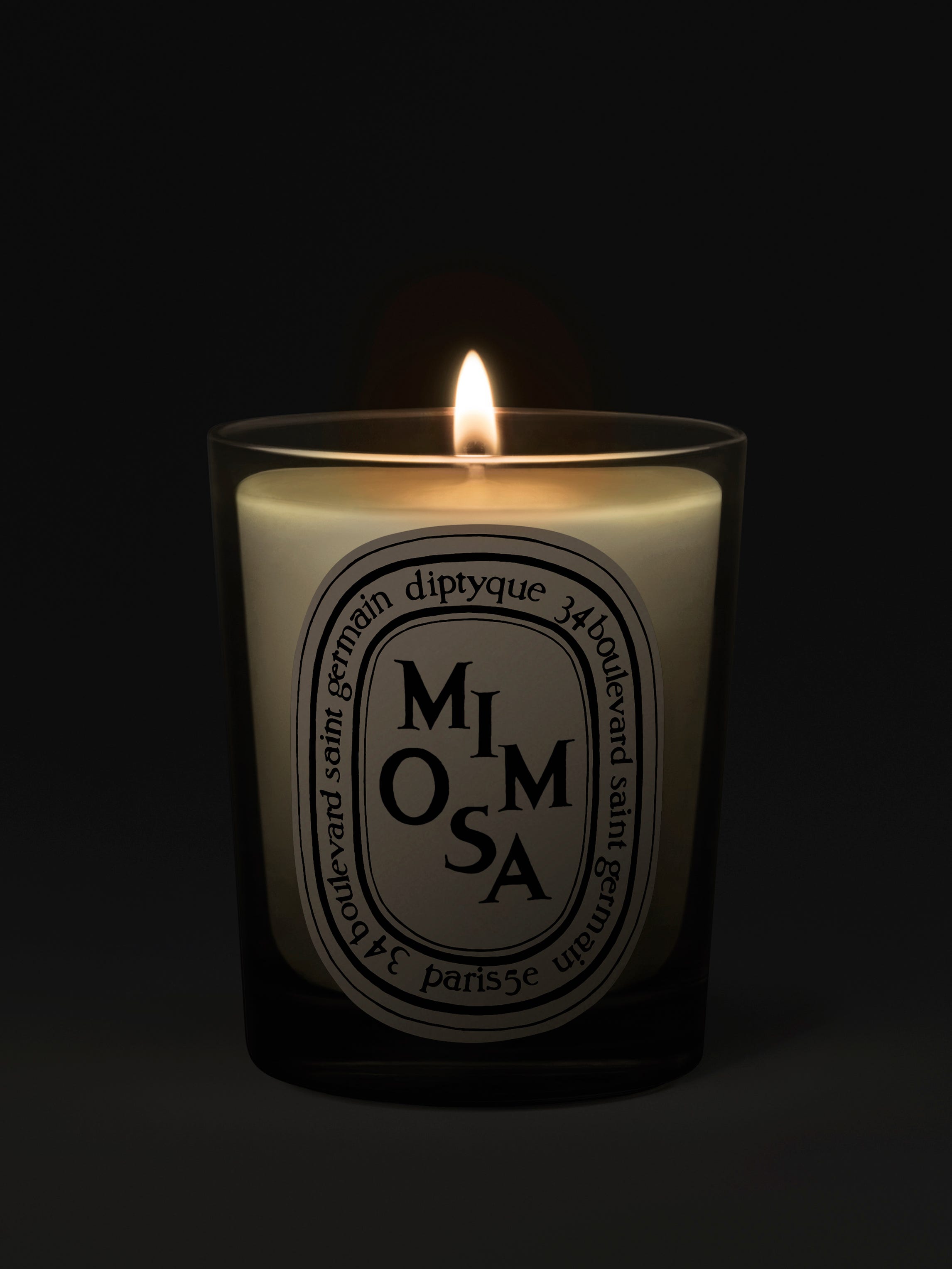 Mimosa - Classic candle | Diptyque Paris