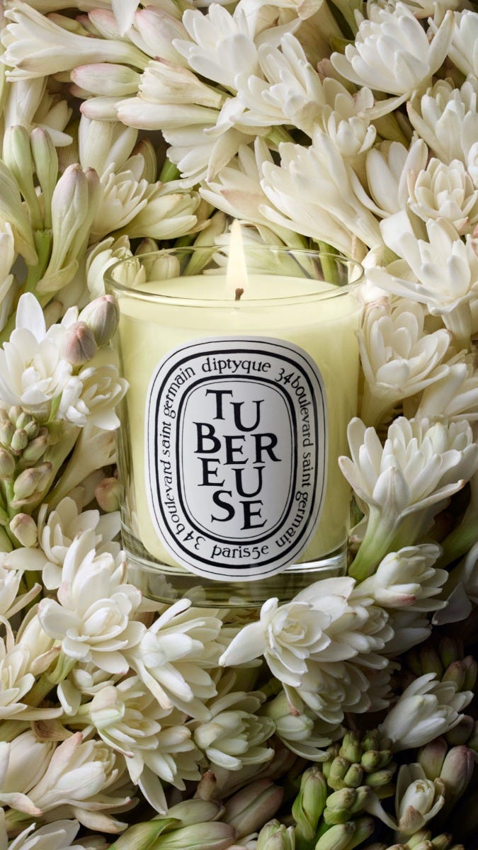 herbier_visuel_tubereuse-