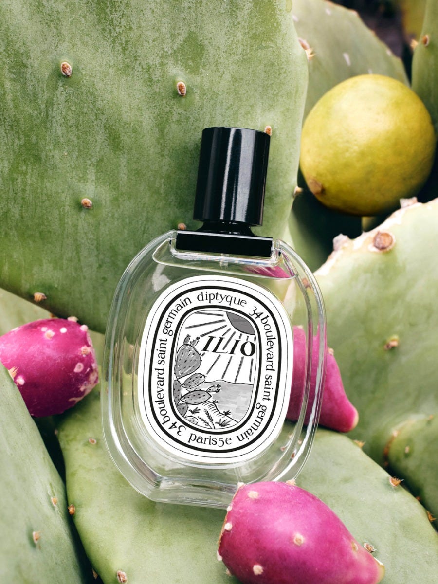 Ilio (イリオ) - オードトワレ - 100ml | Diptyque Paris