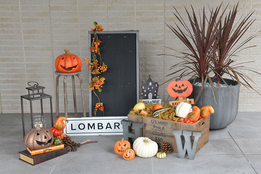 ﾊﾟﾝﾌﾟｷﾝｱｿｰﾄﾈｯﾄ5P: ハロウィン雑貨 ｜ YDMオンラインストア ｜ 横浜