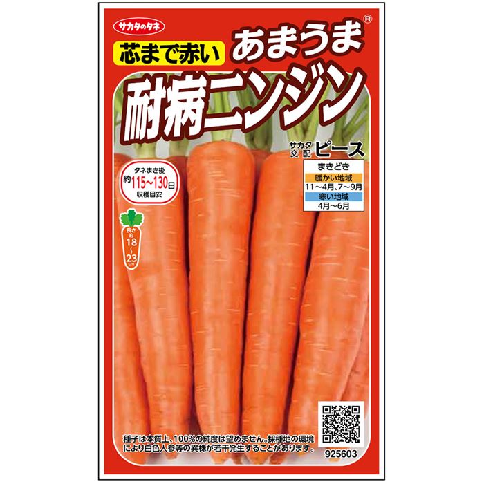 あまうま耐病ニンジン ピース[人参] - e-種や｜国内最大級の野菜種・花