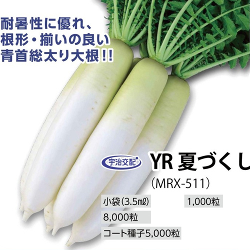 015123_6666d19a4cc84.jpg?