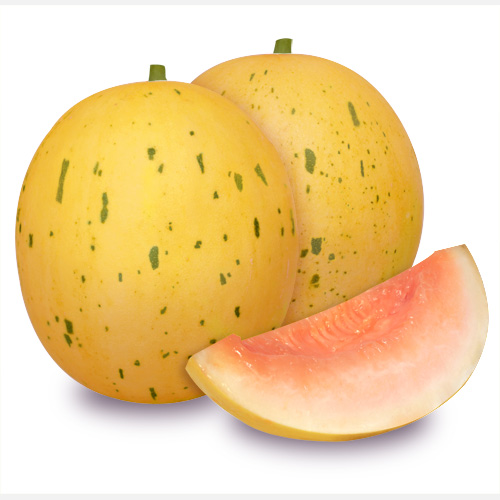 月しずくイエロー(MMX-802)[メロン] - e-種や｜国内最大級の野菜種・花