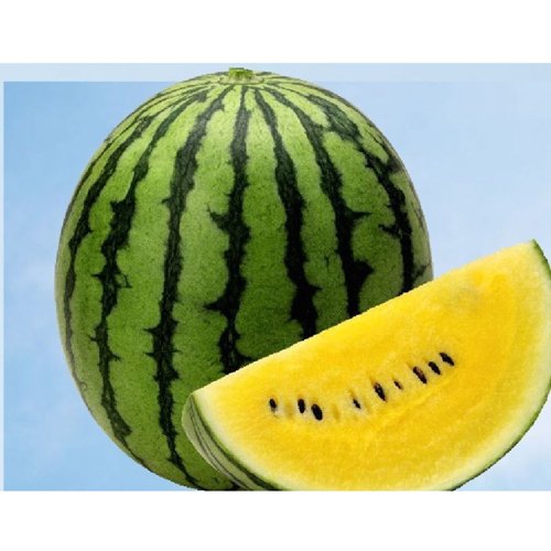 西瓜（すいか） - e-種や｜国内最大級の野菜種・花種・苗・農業資材の