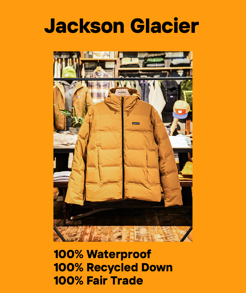 パタゴニア冬の風物アウター「ジャクソン・グレイシャー」ミニマルに