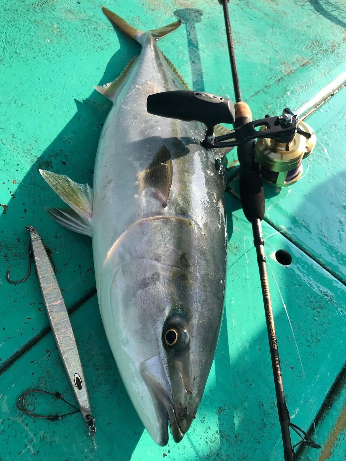 IRON FLICK AGGRESSIVE5102T アイアンフリックアグレッシブ5102T IFAB