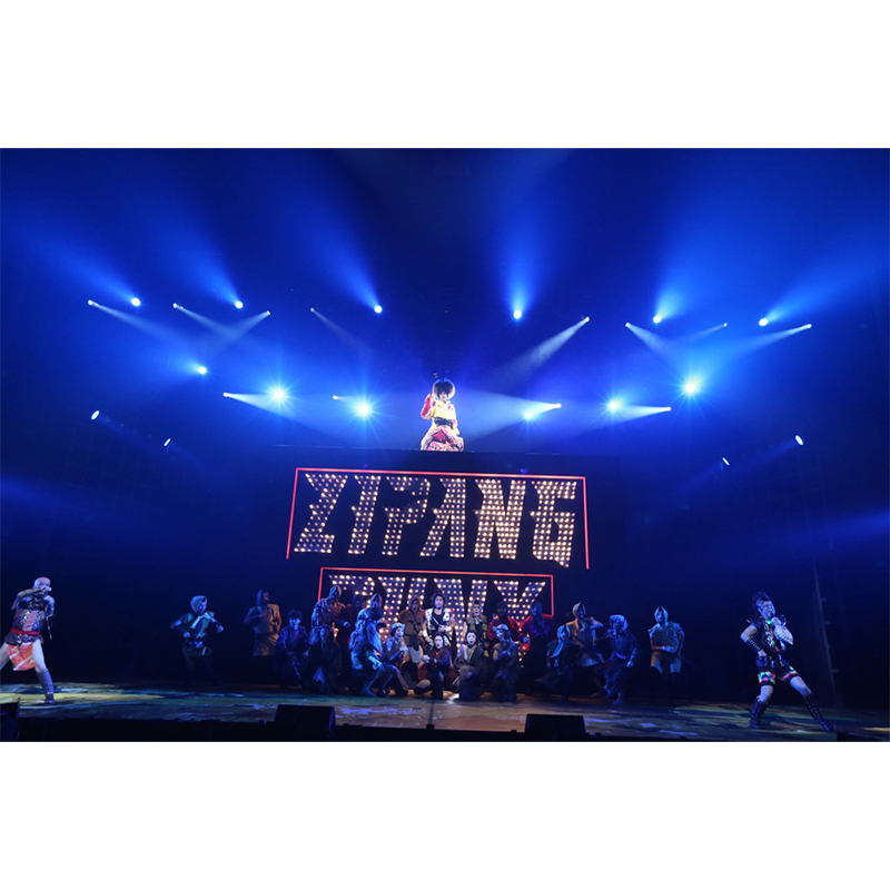 ZIPANG PUNK～五右衛門ロックIII』DVD -special edition