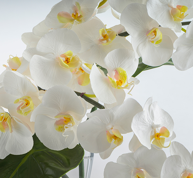 アーティフィシャルフラワー ファレノプシス4L 胡蝶蘭 高品質 ギフト