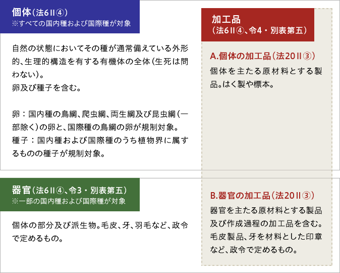 環境省_譲渡し等の規制及び手続きについて｜ワシントン条約と種の保存法