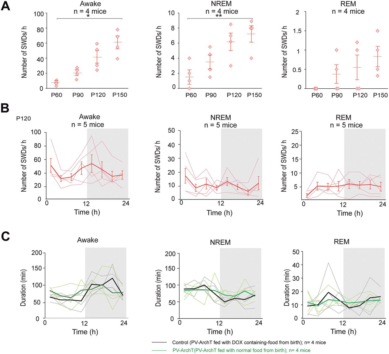 Temporal and Potential Predictive Relationships between Sleep