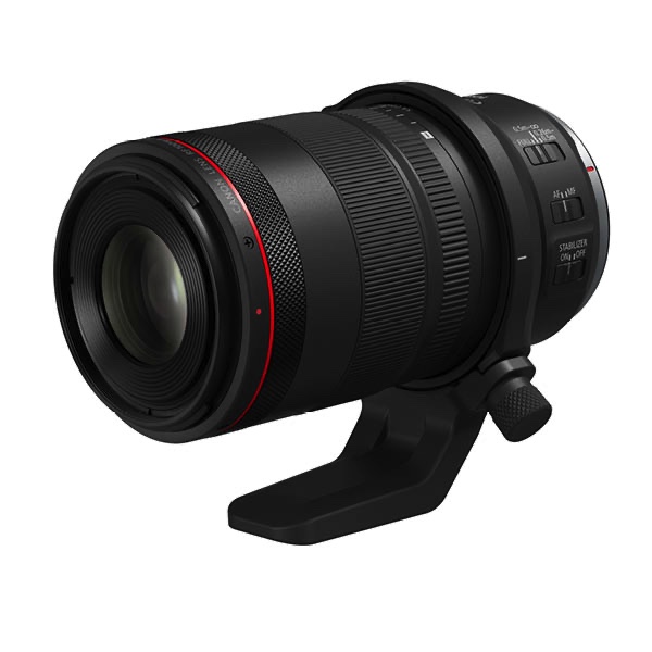 Canon EF 100mm f2.8L Macro IS USM lens review by Angela Yates
