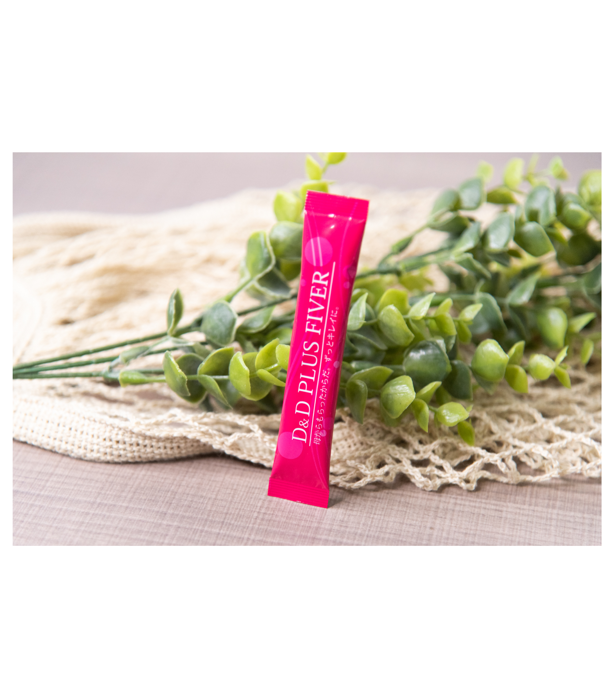 エコロ・インターナショナル / D&Dプラス D&D Plus ※