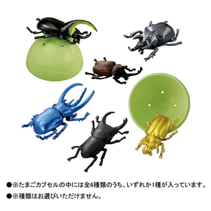 タカラトミー ｱﾆｱﾉﾀﾏｺﾞｺﾝﾁﾕｳｺﾚｸｼﾖﾝ アニアのたまご 昆虫コレクション