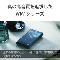 SONY NW-WM1AM2 デジタルオーディオプレーヤー(128GB) Walkman