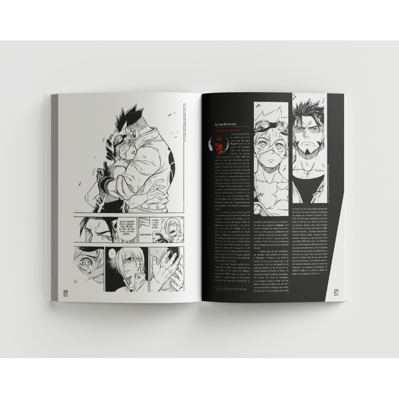 30 ans de manga français - Pix'n Love Editions