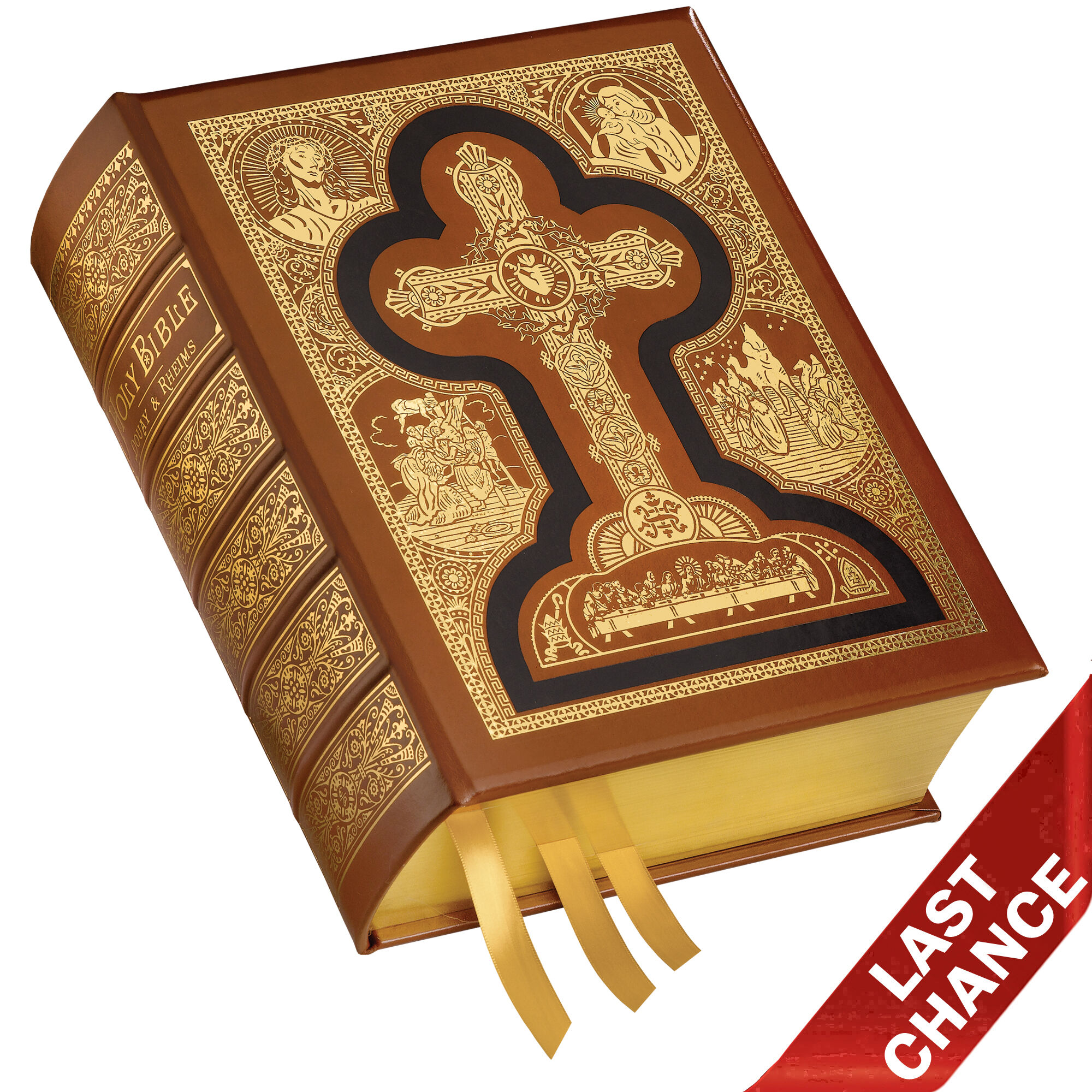 The Holy Bible: Douay-Rheims Translation