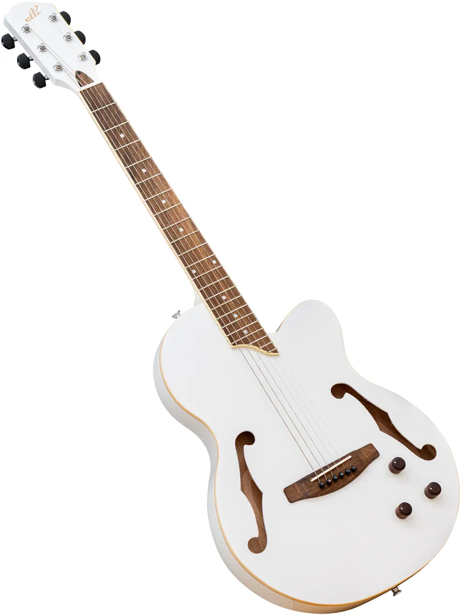 Delsteel 6 [エレクトリック・アコースティックギター] - ELK